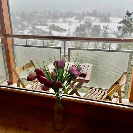Apartament Pogodny ApartamentyZakopianskie Basen Sauna Jacuzzi-3